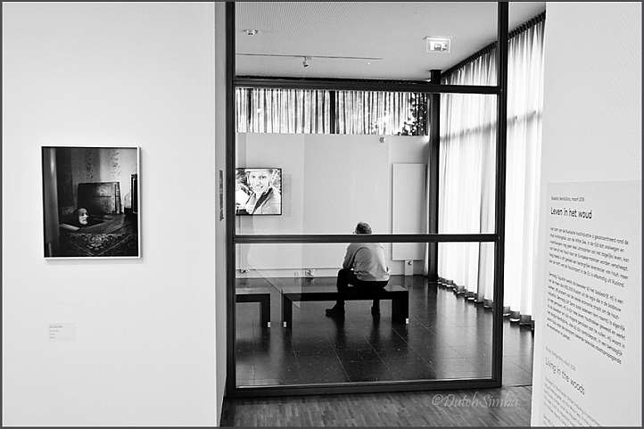 Borealis - Live in the Woods | Exhibition