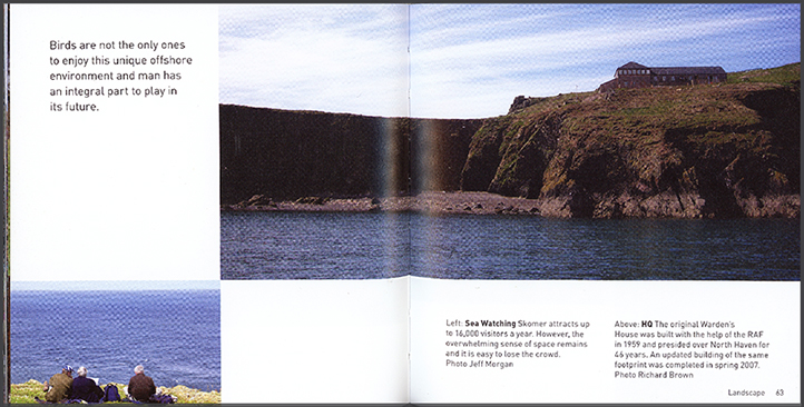Skomer - portrait of a Wels Island | Jane Matthews
