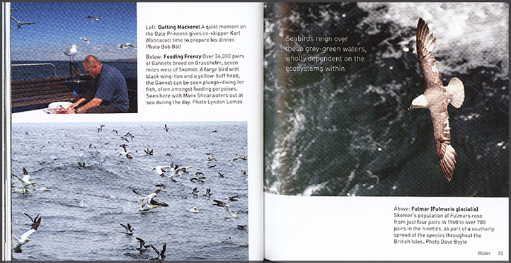 Skomer - portrait of a Wels Island | Jane Matthews