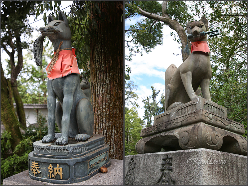 blog/2/2023-q4/Japan_dogs-009.jpg