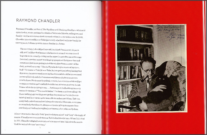 Writers and their Cats | Alison Nastasi
