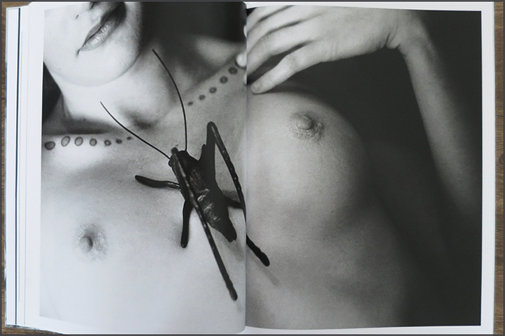 A series of glances by Andy Summer | Photobook