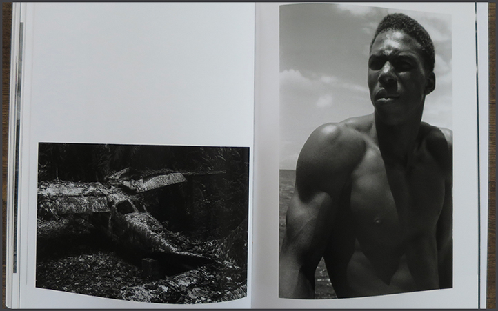A series of glances by Andy Summer | Photobook