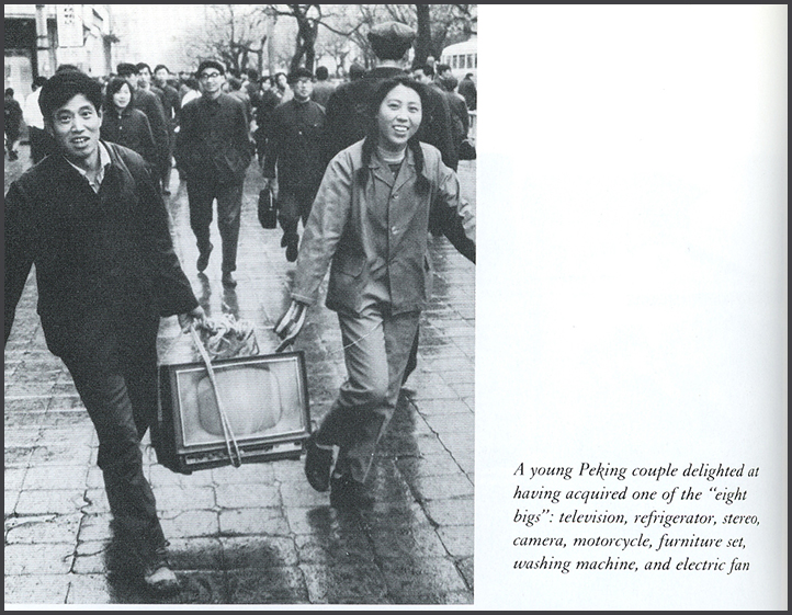 The Search for Modern China by Jonathan D. Spence: China's history 1600-1980s