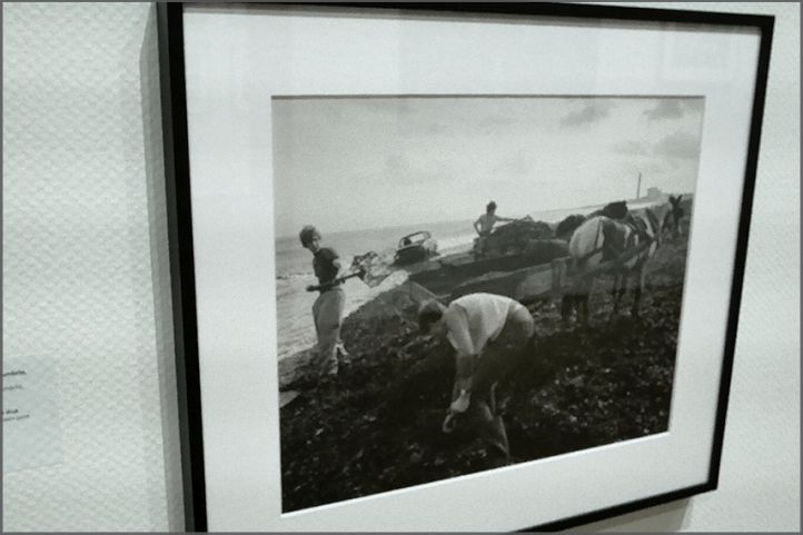 Chris Killip Retrospective @The Hague Fotomuseum