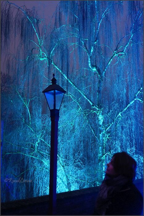 Walkabout @Winterlights in 's-Heerenberg (Gelderland)