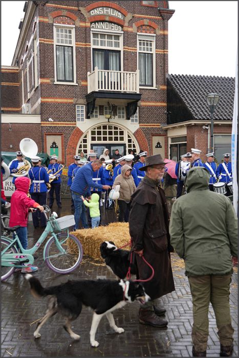 Bonte Schaap festival : sheep shearing 2025