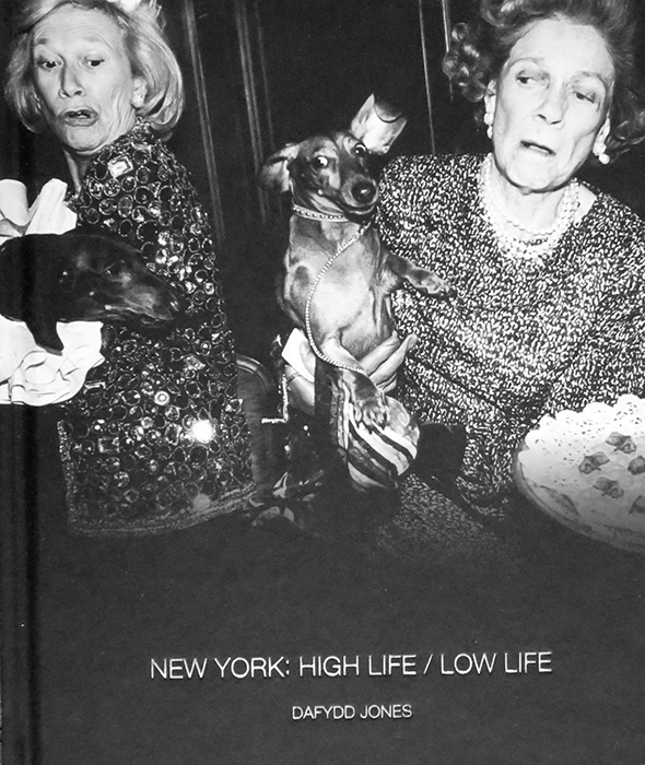 New York: High Life / Low Life - Davydd Jones