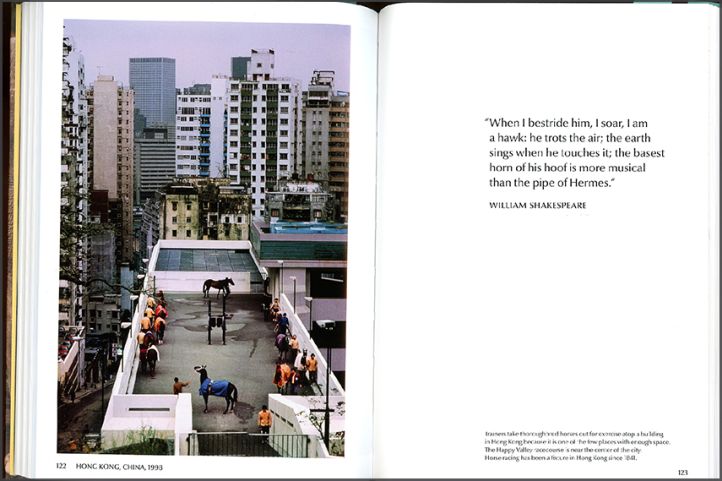 Animals, photography by Steve McCurry (Taschen, 2024)