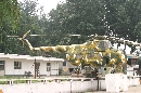 Z-5 8919
