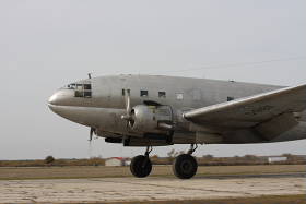 Could walk right to the runway edge...