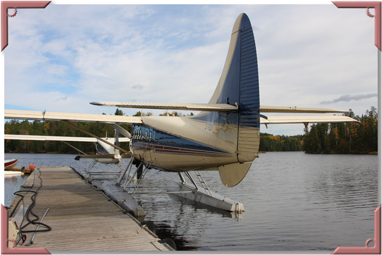 The huge tailfin of the DHC-3 Otter