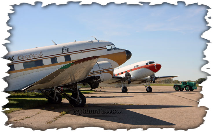 Stored Gooney Birds