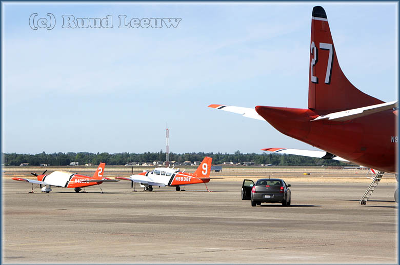 Aero Union's bird dogs