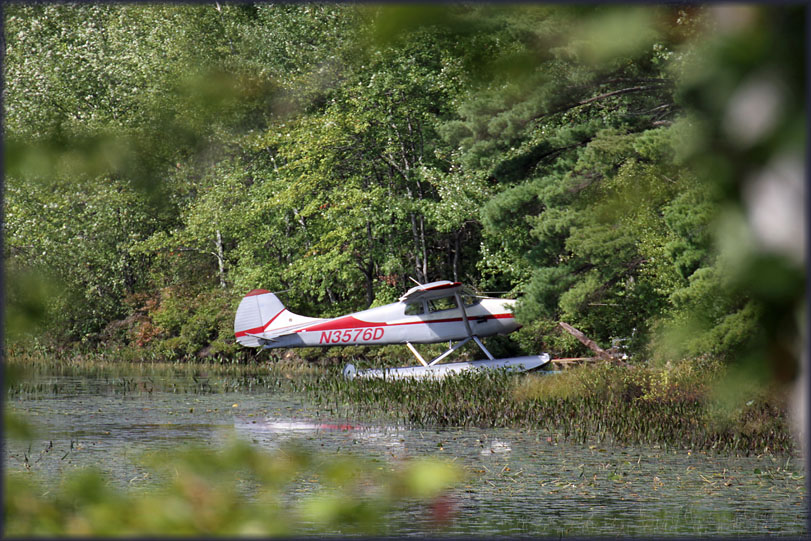 Ce.170 N3576D bushplane
