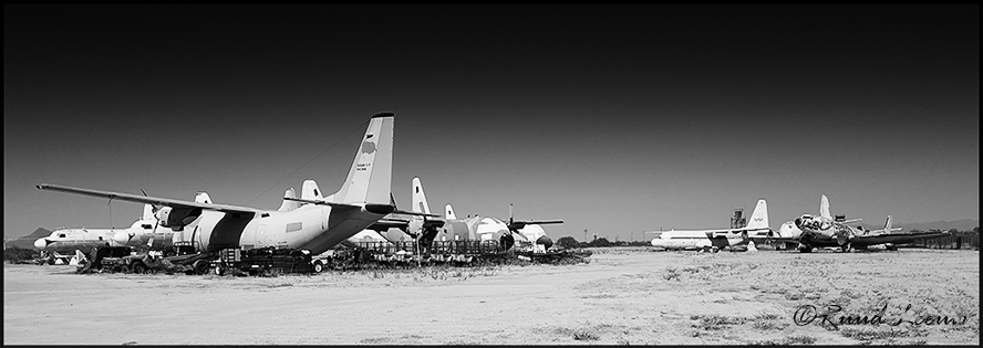 Salvage Tucson AZ