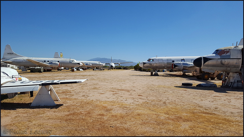 Salvage Tucson AZ
