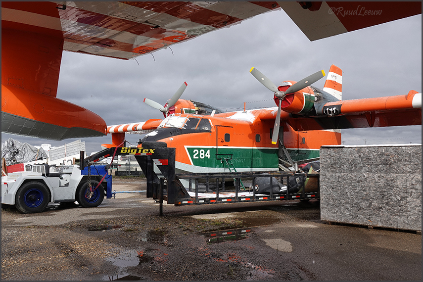 Red Deer - Air Spray & Buffalo Aws (2019)