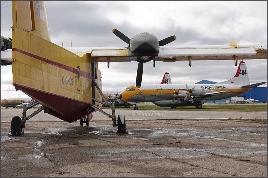 Red Deer - Air Spray & Buffalo Aws (2019)