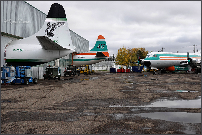 Red Deer - Air Spray & Buffalo Aws (2019)