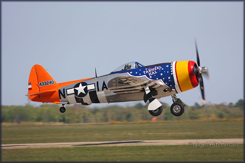 P-47 Tarheel Hal