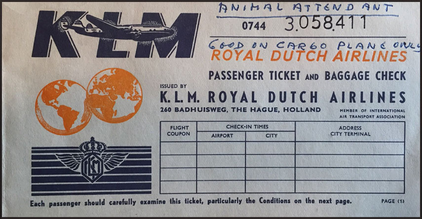 ANimal Attendant ticket KLM