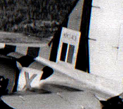 Close up of tail