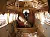 CR-CAR cabin