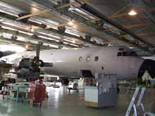 OE-ILB at Red Deer