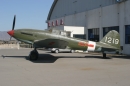 IL-10, 1219