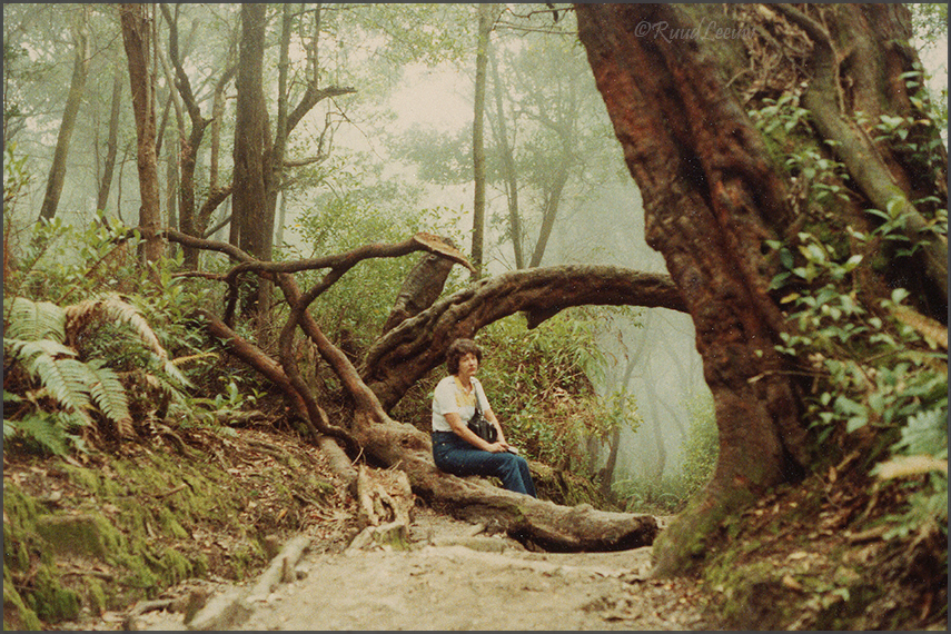 Indonesia travelogue 1981 - Ruud Leeuw (c)