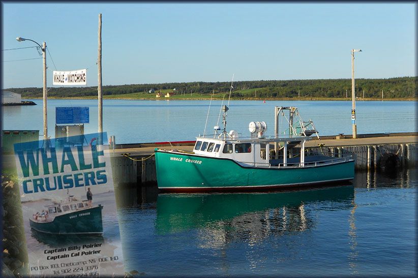 Travel USA &amp;amp; Canada 2011, a roadtrip