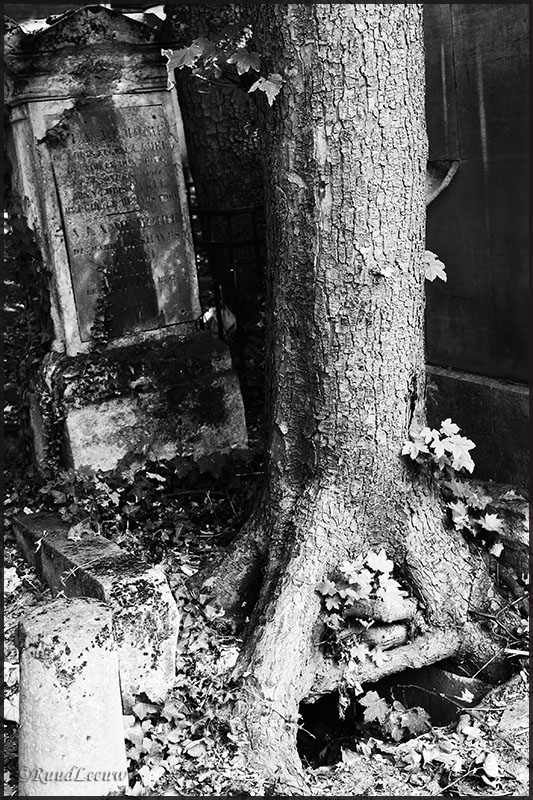 Cimeti&egrave;re du P&egrave;re-Lachaise