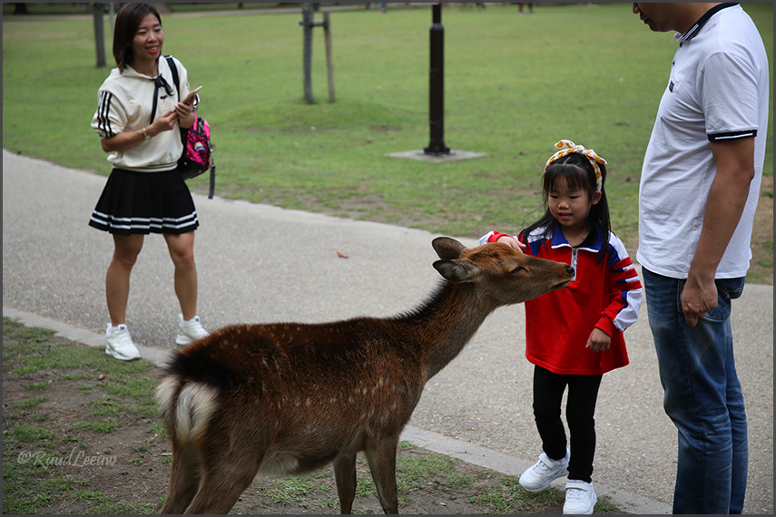 Nara, Japan (2018)