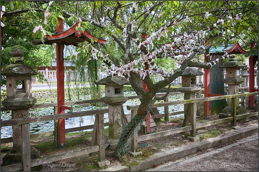 Nara (Japan), 2018