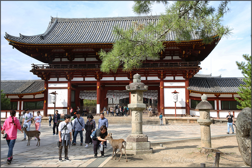 Nara (Japan), 2018