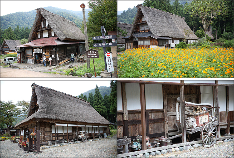 Gokayama (Sugamuma), 2018