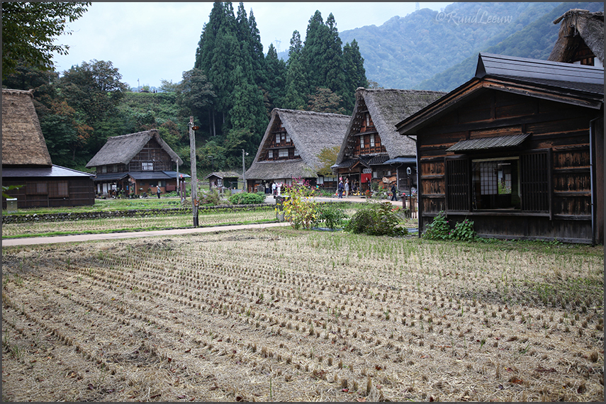 Gokayama (Sugamuma), 2018