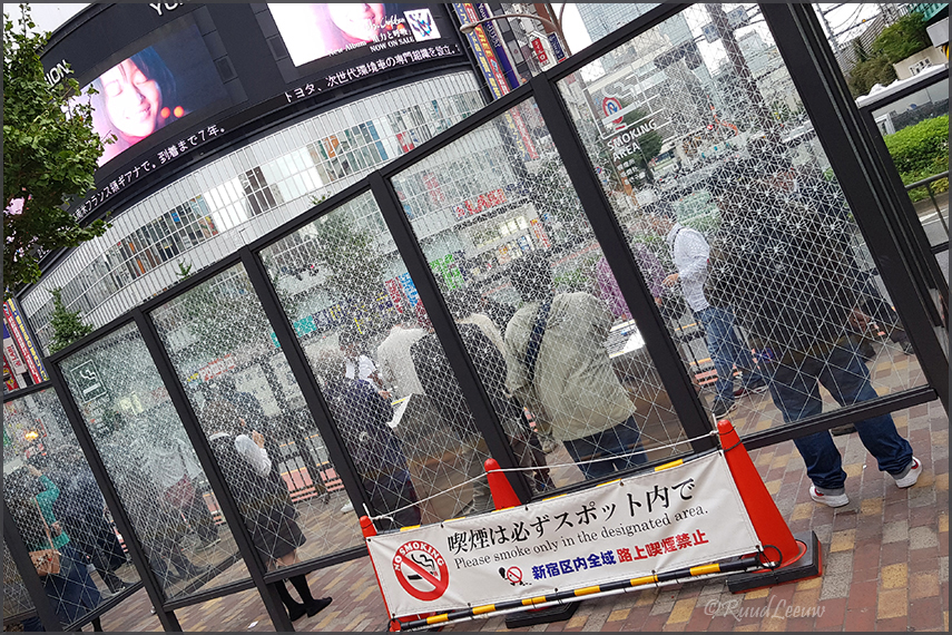 Shinyuku, Tokyo (2018)
