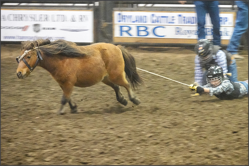 ProRodeo at Hanna, ALberta 29Sep2019
