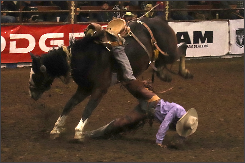 ProRodeo at Hanna, ALberta 29Sep2019