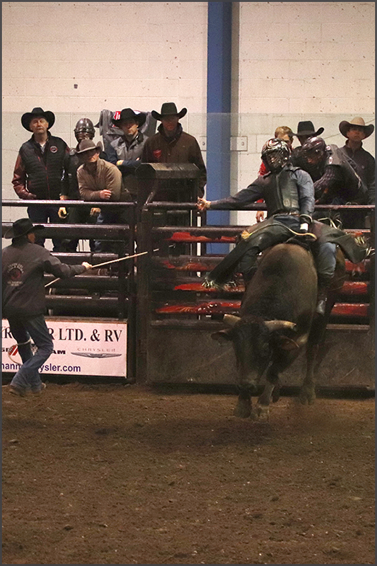 ProRodeo at Hanna, ALberta 29Sep2019