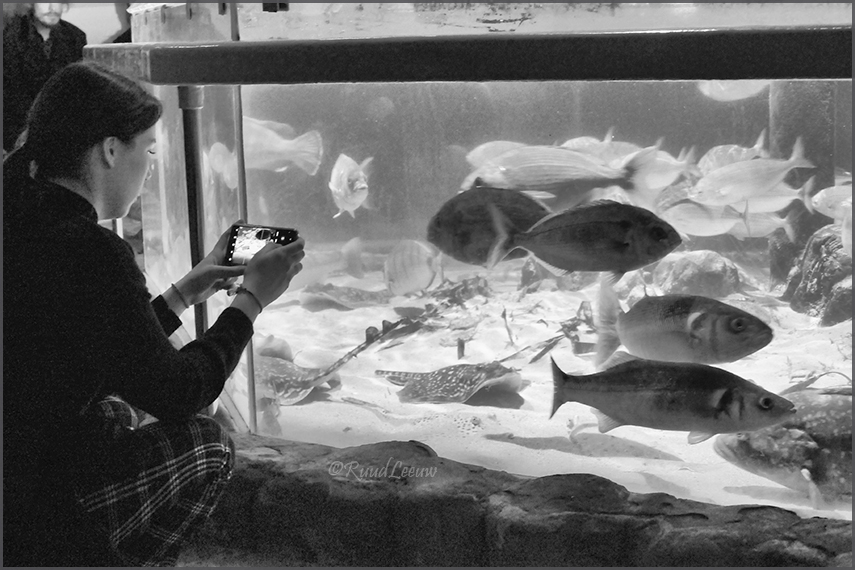 Sea Life @Speyer