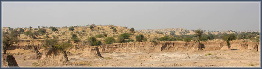 Thar Desert in Rajasthan